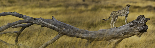 759252 (a): :3840x1200